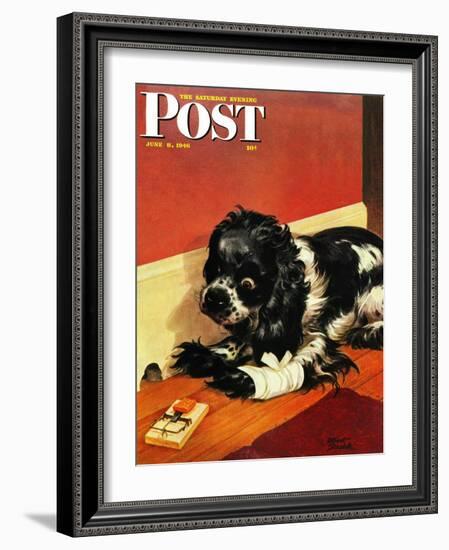 "Butch and Mousetrap," Saturday Evening Post Cover, June 8, 1946-Albert Staehle-Framed Giclee Print