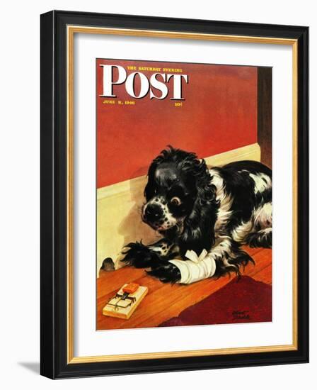 "Butch and Mousetrap," Saturday Evening Post Cover, June 8, 1946-Albert Staehle-Framed Giclee Print