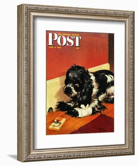 "Butch and Mousetrap," Saturday Evening Post Cover, June 8, 1946-Albert Staehle-Framed Giclee Print