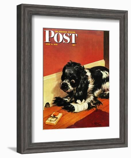 "Butch and Mousetrap," Saturday Evening Post Cover, June 8, 1946-Albert Staehle-Framed Giclee Print