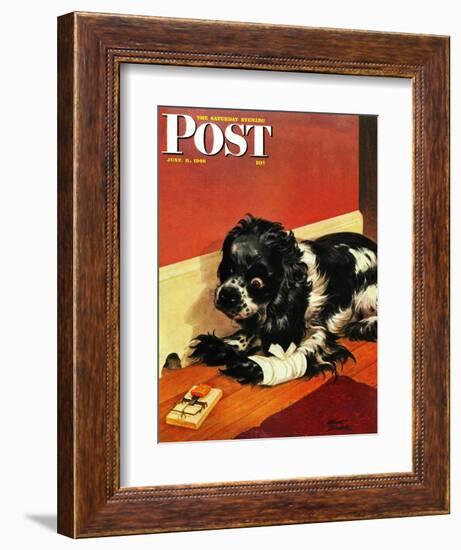 "Butch and Mousetrap," Saturday Evening Post Cover, June 8, 1946-Albert Staehle-Framed Giclee Print