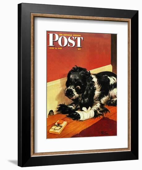 "Butch and Mousetrap," Saturday Evening Post Cover, June 8, 1946-Albert Staehle-Framed Giclee Print