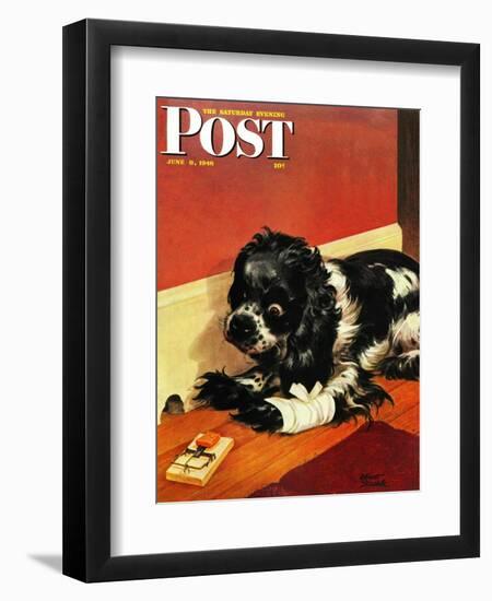 "Butch and Mousetrap," Saturday Evening Post Cover, June 8, 1946-Albert Staehle-Framed Giclee Print