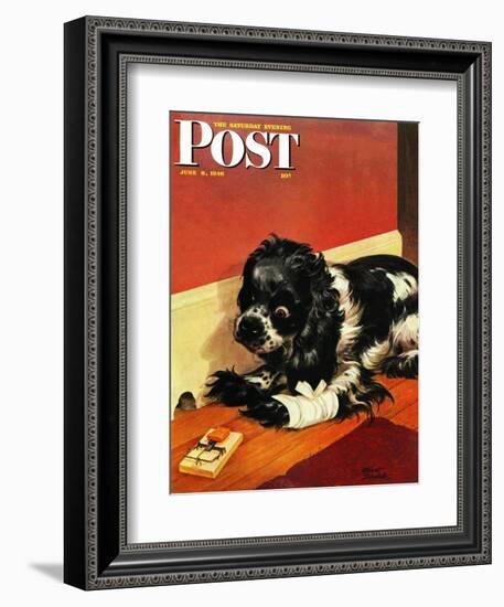 "Butch and Mousetrap," Saturday Evening Post Cover, June 8, 1946-Albert Staehle-Framed Giclee Print