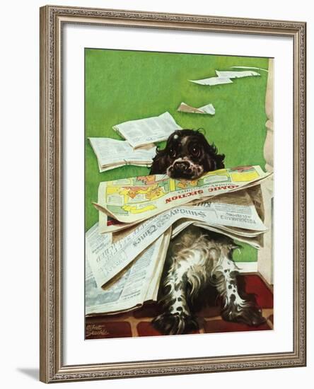 "Butch and the Sunday Paper," May 31, 1947-Albert Staehle-Framed Giclee Print