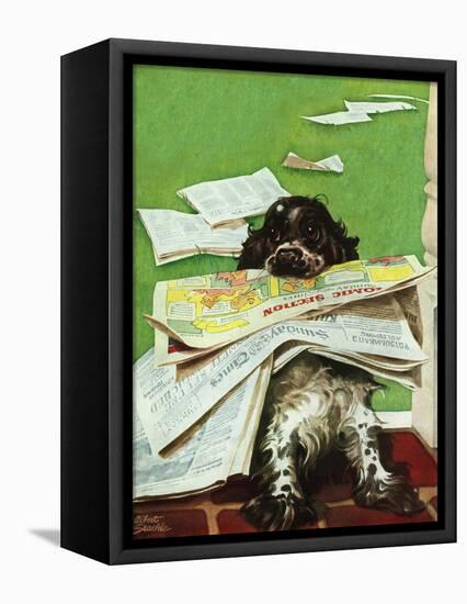 "Butch and the Sunday Paper," May 31, 1947-Albert Staehle-Framed Premier Image Canvas
