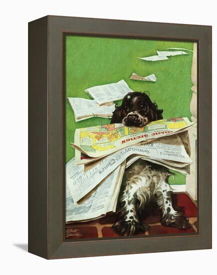 "Butch and the Sunday Paper," May 31, 1947-Albert Staehle-Framed Premier Image Canvas