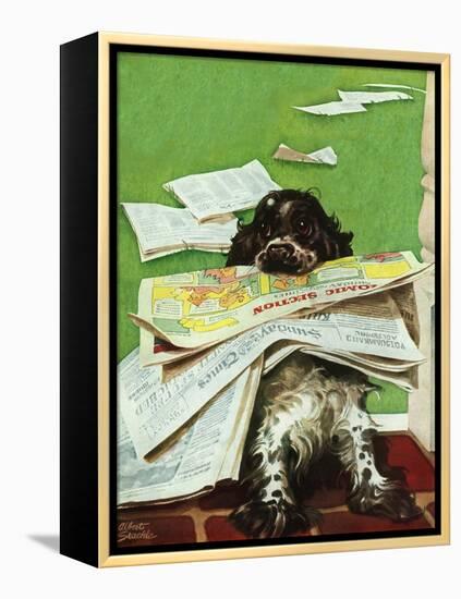 "Butch and the Sunday Paper," May 31, 1947-Albert Staehle-Framed Premier Image Canvas