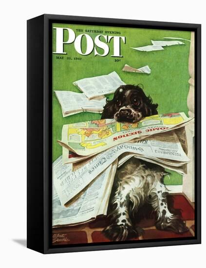 "Butch and the Sunday Paper," Saturday Evening Post Cover, May 31, 1947-Albert Staehle-Framed Premier Image Canvas