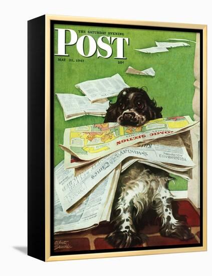 "Butch and the Sunday Paper," Saturday Evening Post Cover, May 31, 1947-Albert Staehle-Framed Premier Image Canvas