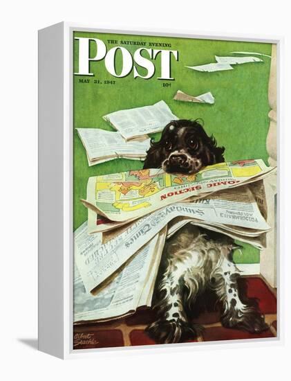 "Butch and the Sunday Paper," Saturday Evening Post Cover, May 31, 1947-Albert Staehle-Framed Premier Image Canvas