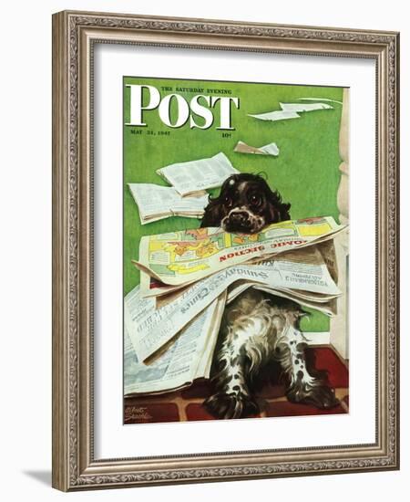 "Butch and the Sunday Paper," Saturday Evening Post Cover, May 31, 1947-Albert Staehle-Framed Giclee Print