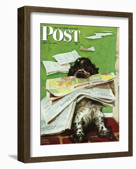 "Butch and the Sunday Paper," Saturday Evening Post Cover, May 31, 1947-Albert Staehle-Framed Giclee Print