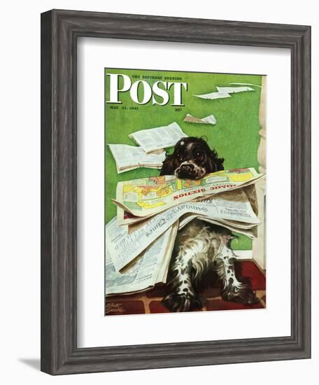 "Butch and the Sunday Paper," Saturday Evening Post Cover, May 31, 1947-Albert Staehle-Framed Giclee Print