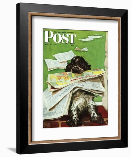 "Butch and the Sunday Paper," Saturday Evening Post Cover, May 31, 1947-Albert Staehle-Framed Giclee Print