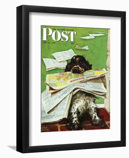 "Butch and the Sunday Paper," Saturday Evening Post Cover, May 31, 1947-Albert Staehle-Framed Giclee Print