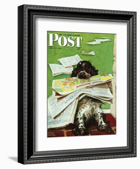 "Butch and the Sunday Paper," Saturday Evening Post Cover, May 31, 1947-Albert Staehle-Framed Giclee Print