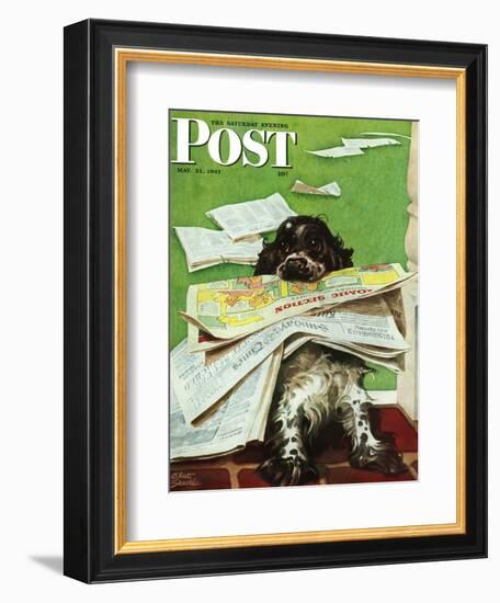 "Butch and the Sunday Paper," Saturday Evening Post Cover, May 31, 1947-Albert Staehle-Framed Giclee Print