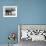 Butch, Baby Female Indian Elephant in the Dailey Circus, Standing Beneath Full Size Elephant-Cornell Capa-Framed Photographic Print displayed on a wall