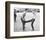 Butch Cassidy and the Sundance Kid-null-Framed Photo