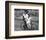 Butch Cassidy and the Sundance Kid-null-Framed Photo