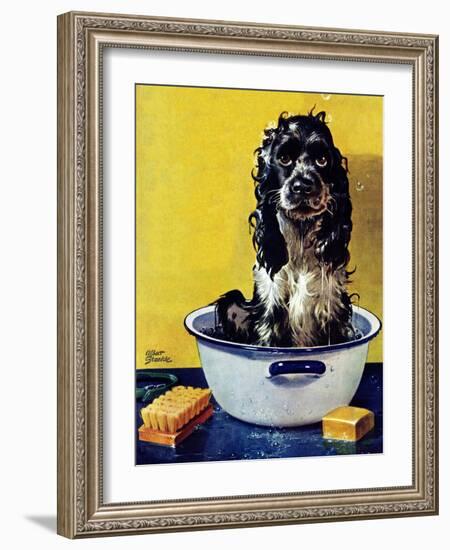 "Butch Gets a Bath," May 11, 1946-Albert Staehle-Framed Giclee Print