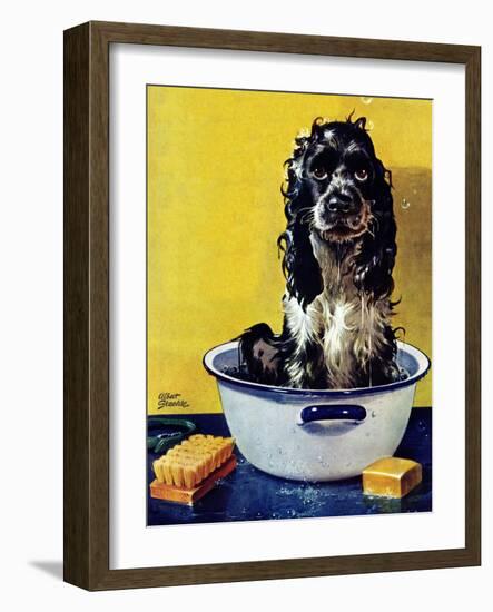 "Butch Gets a Bath," May 11, 1946-Albert Staehle-Framed Giclee Print