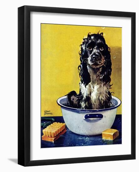 "Butch Gets a Bath," May 11, 1946-Albert Staehle-Framed Giclee Print