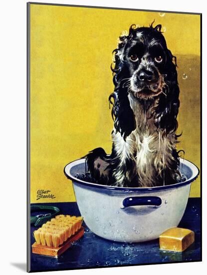 "Butch Gets a Bath," May 11, 1946-Albert Staehle-Mounted Giclee Print