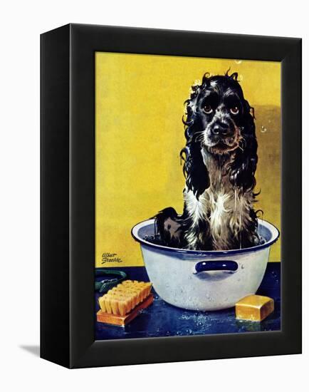 "Butch Gets a Bath," May 11, 1946-Albert Staehle-Framed Premier Image Canvas