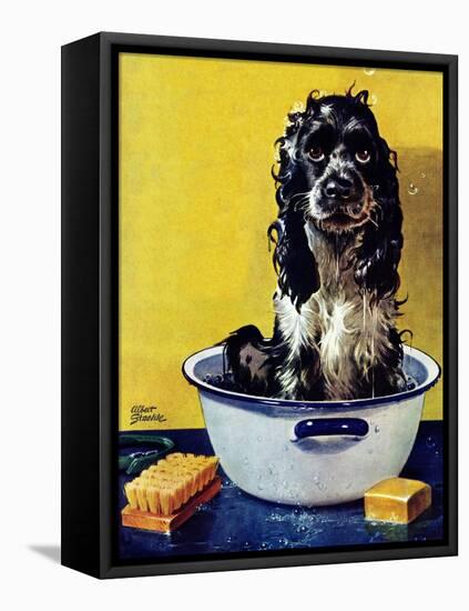 "Butch Gets a Bath," May 11, 1946-Albert Staehle-Framed Premier Image Canvas