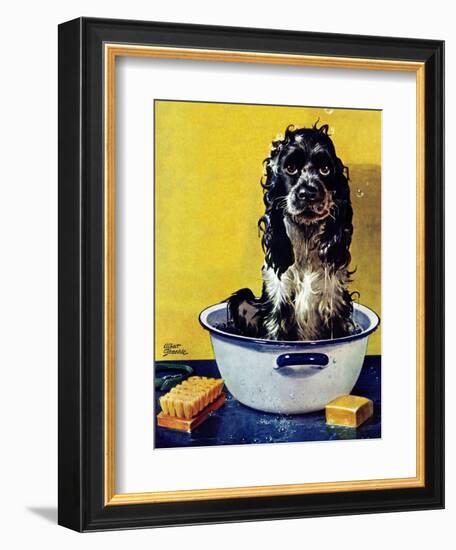 "Butch Gets a Bath," May 11, 1946-Albert Staehle-Framed Giclee Print