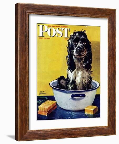 "Butch Gets a Bath," Saturday Evening Post Cover, May 11, 1946-Albert Staehle-Framed Giclee Print