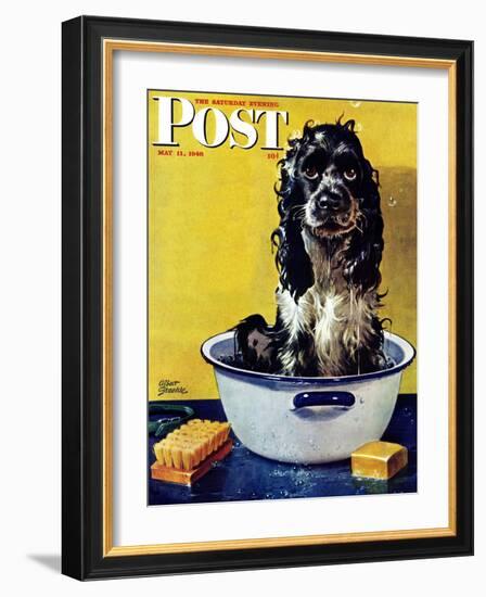 "Butch Gets a Bath," Saturday Evening Post Cover, May 11, 1946-Albert Staehle-Framed Giclee Print