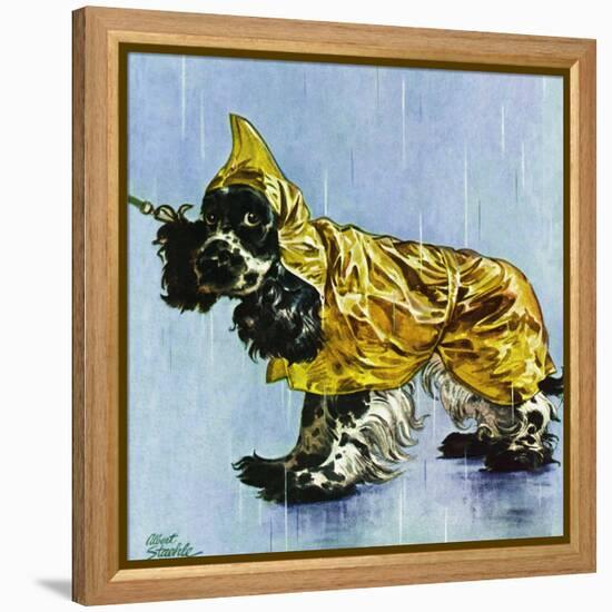 "Butch in Raingear," April 2, 1949-Albert Staehle-Framed Premier Image Canvas