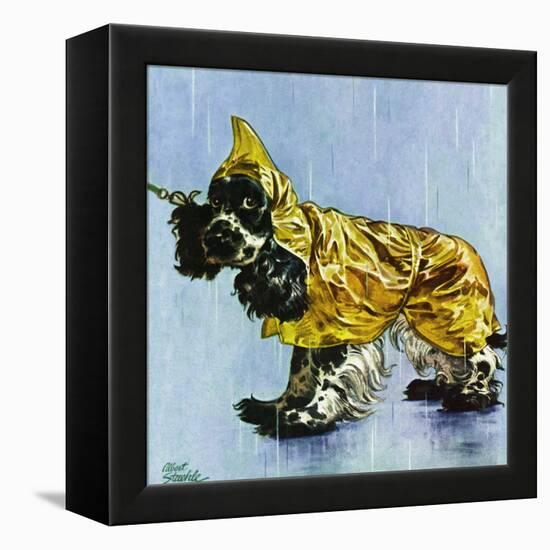 "Butch in Raingear," April 2, 1949-Albert Staehle-Framed Premier Image Canvas