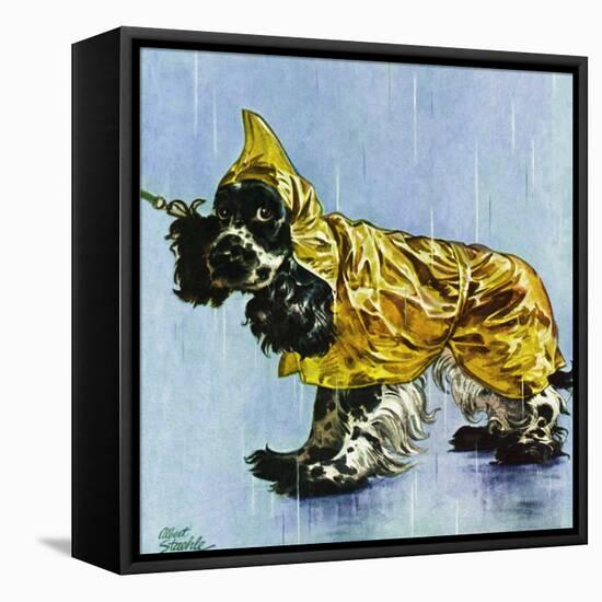 "Butch in Raingear," April 2, 1949-Albert Staehle-Framed Premier Image Canvas