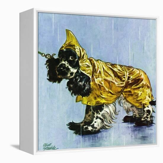 "Butch in Raingear," April 2, 1949-Albert Staehle-Framed Premier Image Canvas