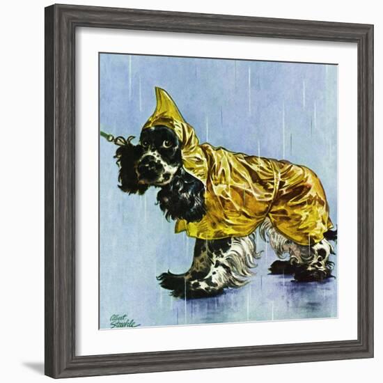 "Butch in Raingear," April 2, 1949-Albert Staehle-Framed Giclee Print