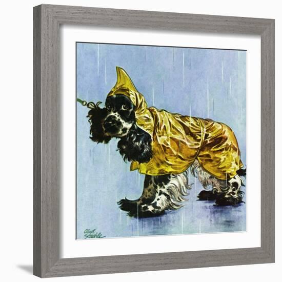 "Butch in Raingear," April 2, 1949-Albert Staehle-Framed Giclee Print