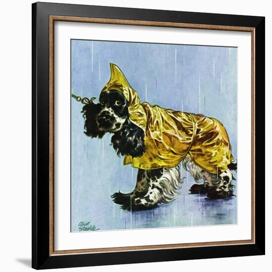 "Butch in Raingear," April 2, 1949-Albert Staehle-Framed Giclee Print