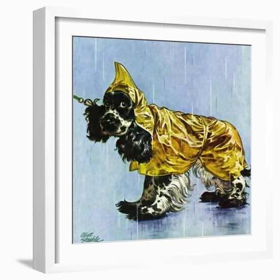 "Butch in Raingear," April 2, 1949-Albert Staehle-Framed Giclee Print