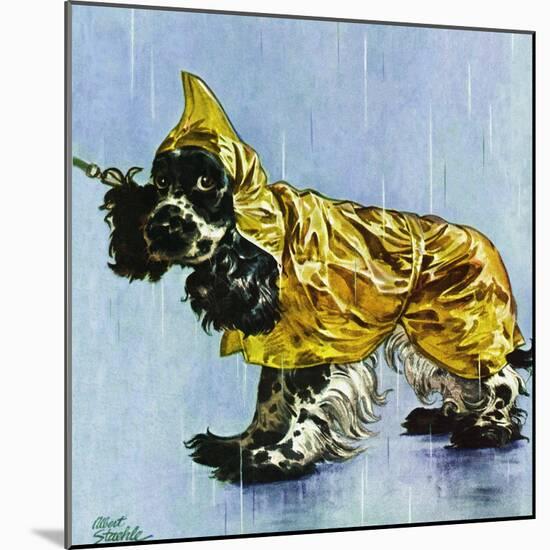 "Butch in Raingear," April 2, 1949-Albert Staehle-Mounted Giclee Print