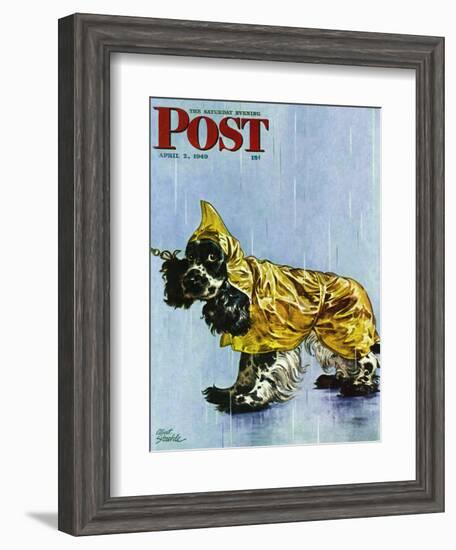 "Butch in Raingear," Saturday Evening Post Cover, April 2, 1949-Albert Staehle-Framed Giclee Print