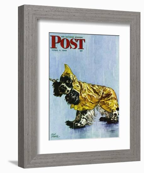 "Butch in Raingear," Saturday Evening Post Cover, April 2, 1949-Albert Staehle-Framed Giclee Print