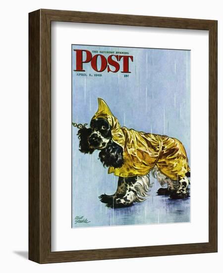 "Butch in Raingear," Saturday Evening Post Cover, April 2, 1949-Albert Staehle-Framed Giclee Print