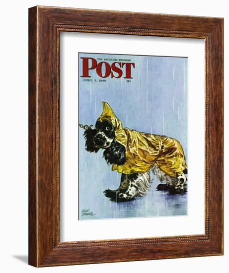 "Butch in Raingear," Saturday Evening Post Cover, April 2, 1949-Albert Staehle-Framed Giclee Print