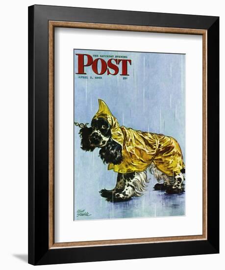 "Butch in Raingear," Saturday Evening Post Cover, April 2, 1949-Albert Staehle-Framed Giclee Print