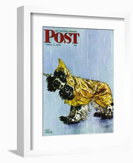 "Butch in Raingear," Saturday Evening Post Cover, April 2, 1949-Albert Staehle-Framed Giclee Print