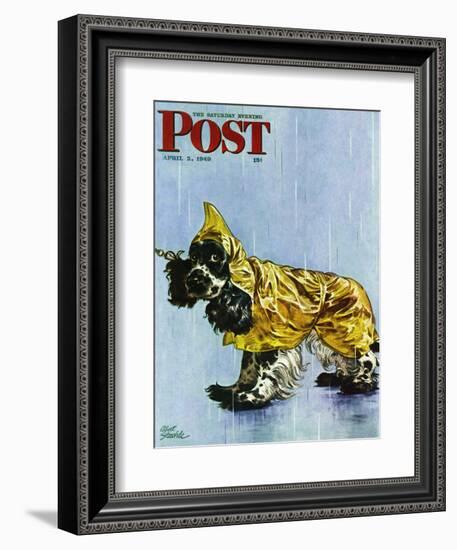 "Butch in Raingear," Saturday Evening Post Cover, April 2, 1949-Albert Staehle-Framed Giclee Print